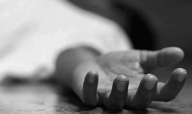 মায়ের ঝুলন্ত মরদেহের পাশে সন্তানের লাশ